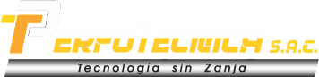 Logo del partner